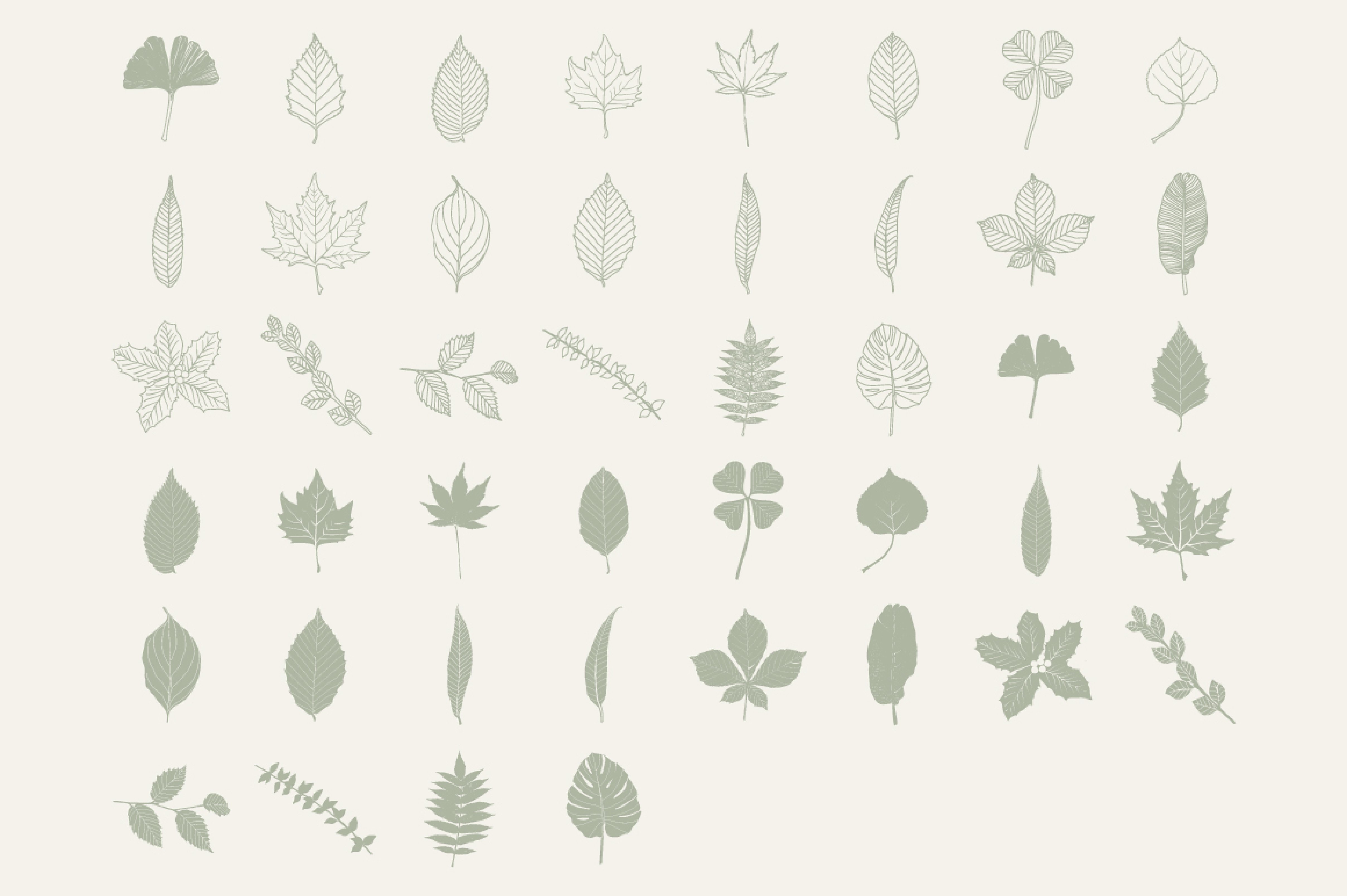 手绘树叶矢量插图Vector Leaf Illustrati