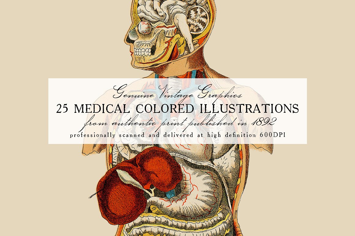 精美的复古医学插图25 Medical Colored Il