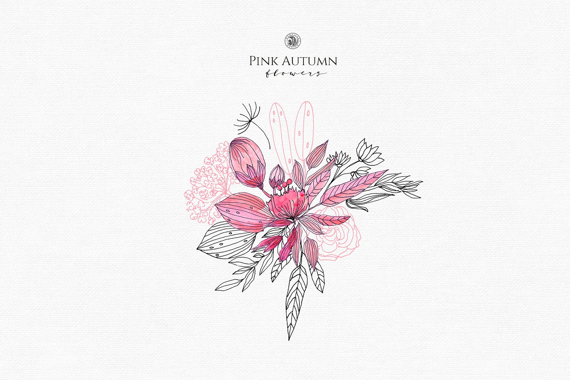 手绘水彩花卉植物设计素材Pink Autumn Flower