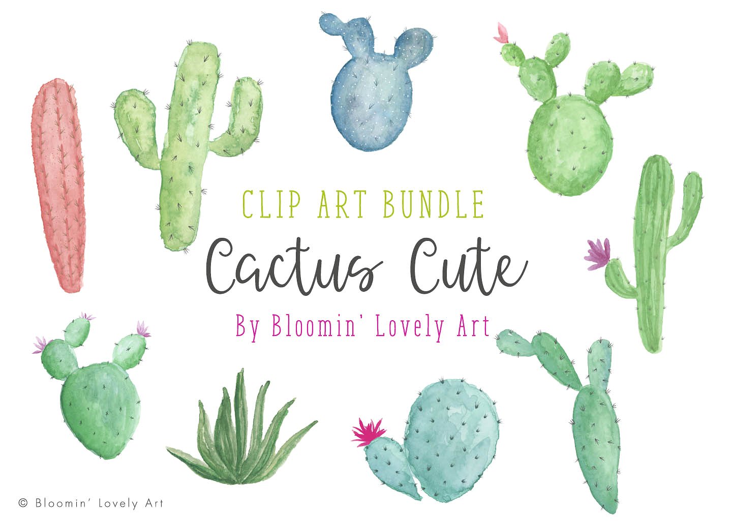 手绘水彩仙人掌设计素材Watercolor Cactus C