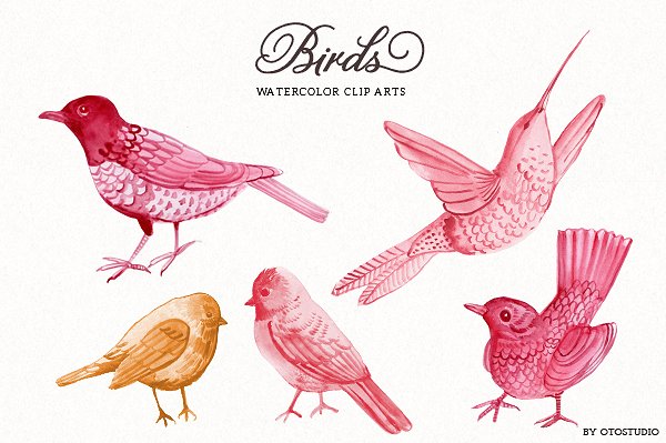 手绘水彩鸟儿设计素材Watercolor Bird Illu