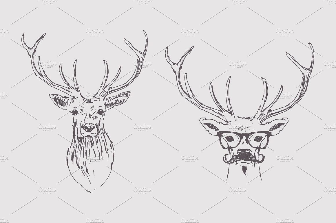 手绘麋鹿矢量插图Two sketches of a deer