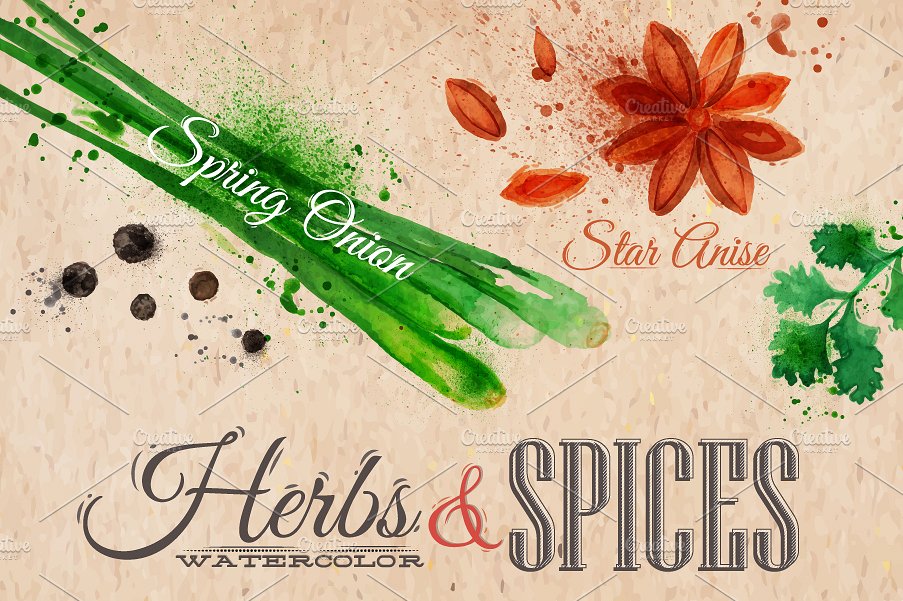 手绘水彩香料草药设计素材Herbs spices water