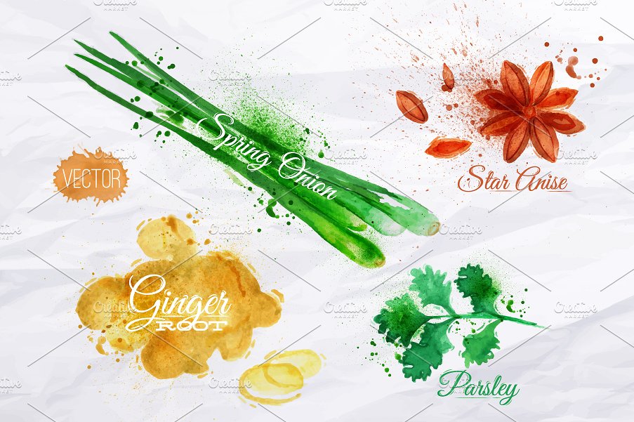 手绘水彩调味品植物设计素材Herbs spices wate