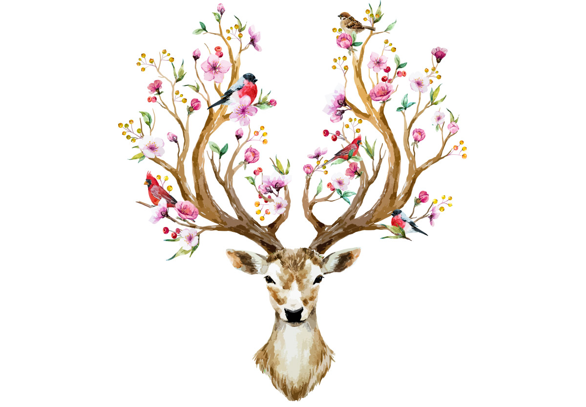 鹿角鲜花植物花鸟水彩矢量插图设计素材Deer vector
