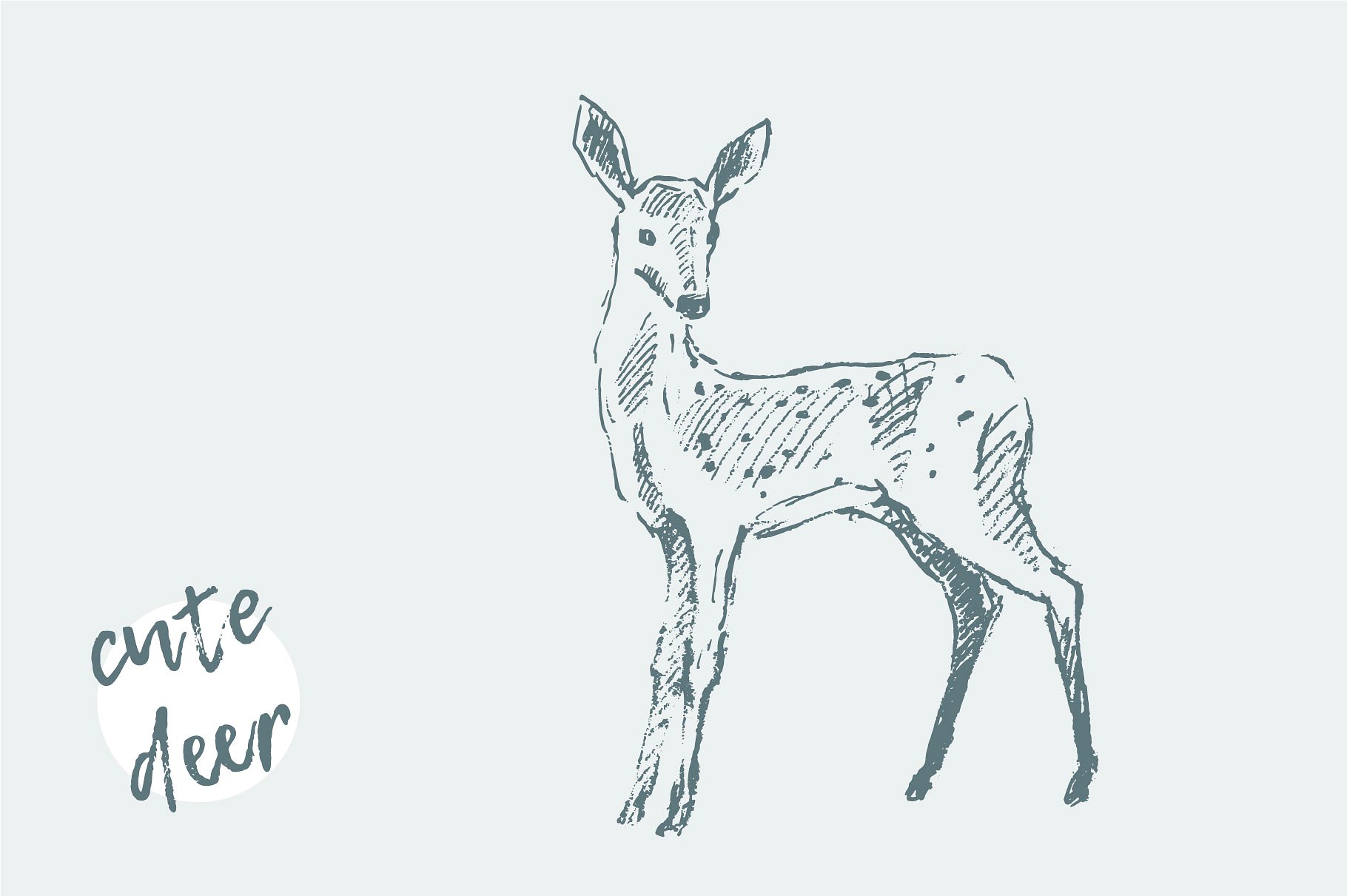 手绘小鹿矢量插图Sketch of a deer