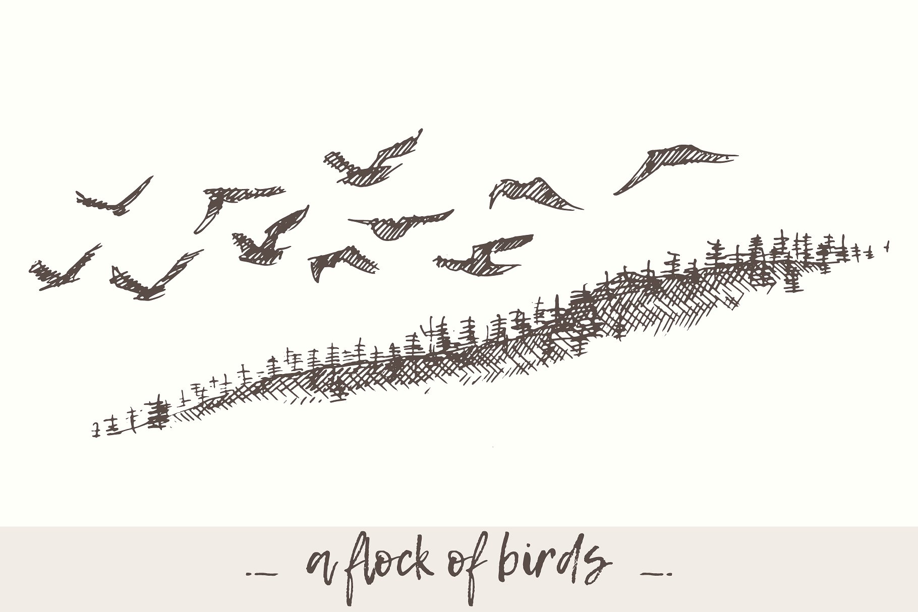 手绘户外森林景色矢量插图Flying flock of bi