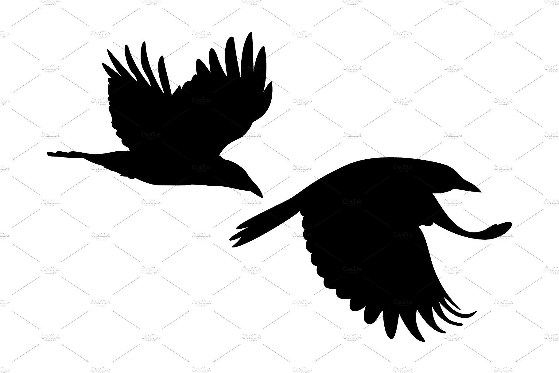 鸟类矢量图案Crows in a circle vector