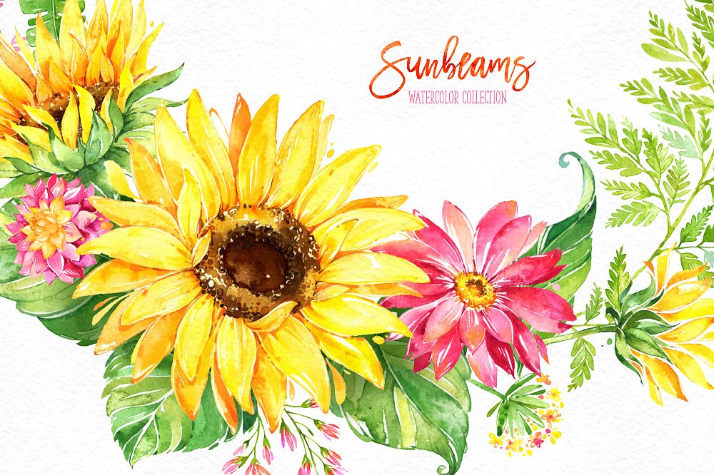 手绘水彩向日癸花卉设计素材30%Off! Sunbeams.