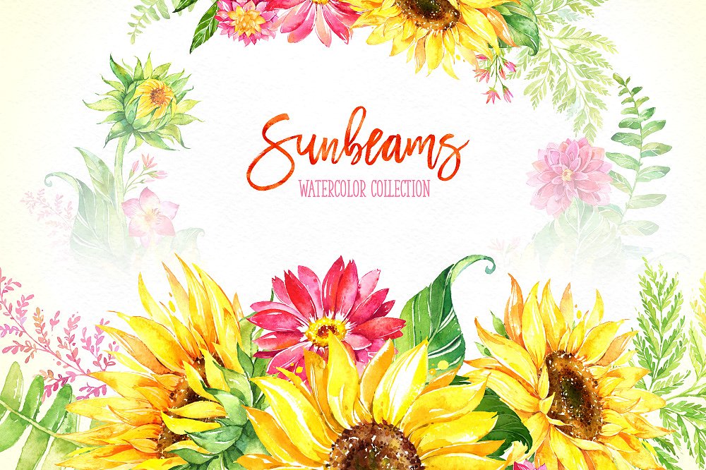 手绘水彩向日癸花卉设计素材30%Off! Sunbeams.