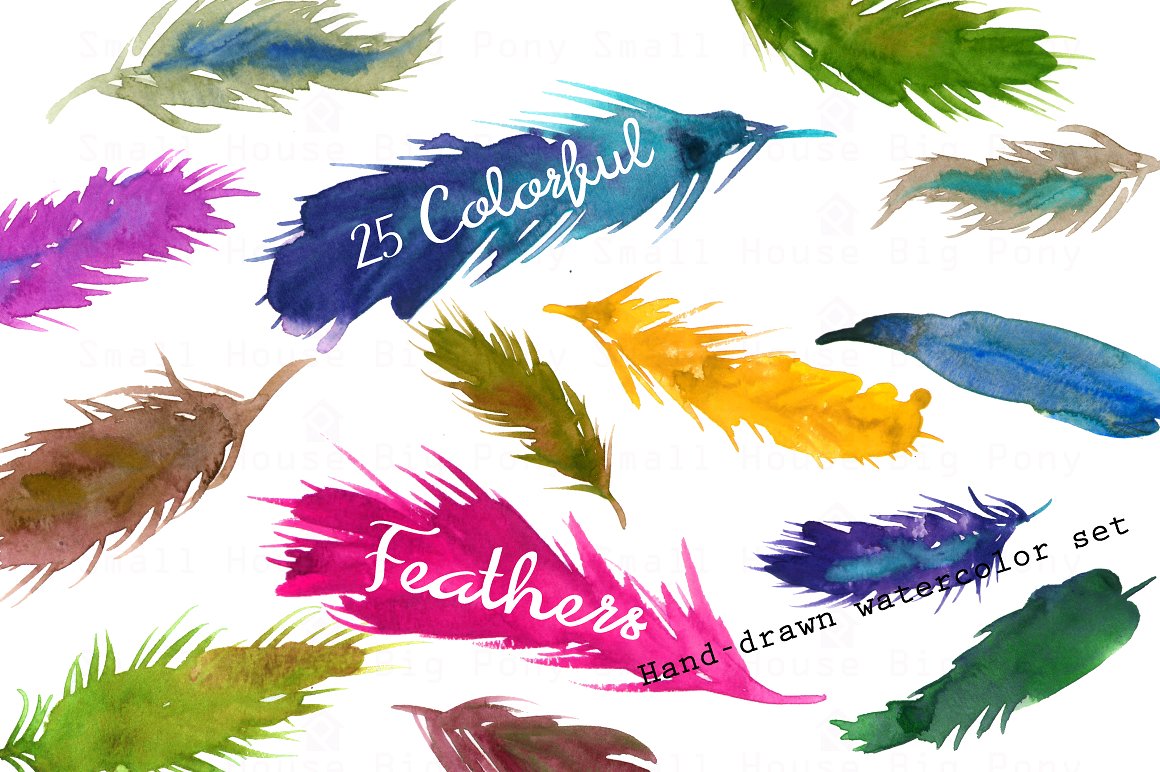 手绘水彩羽毛设计素材Colorful Feathers-Wa