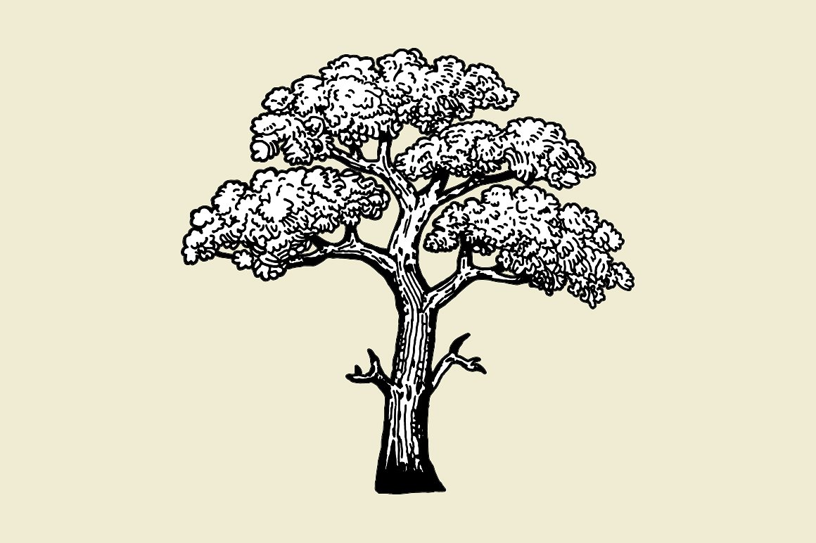 复古手绘大树矢量素材Tree illustration wi