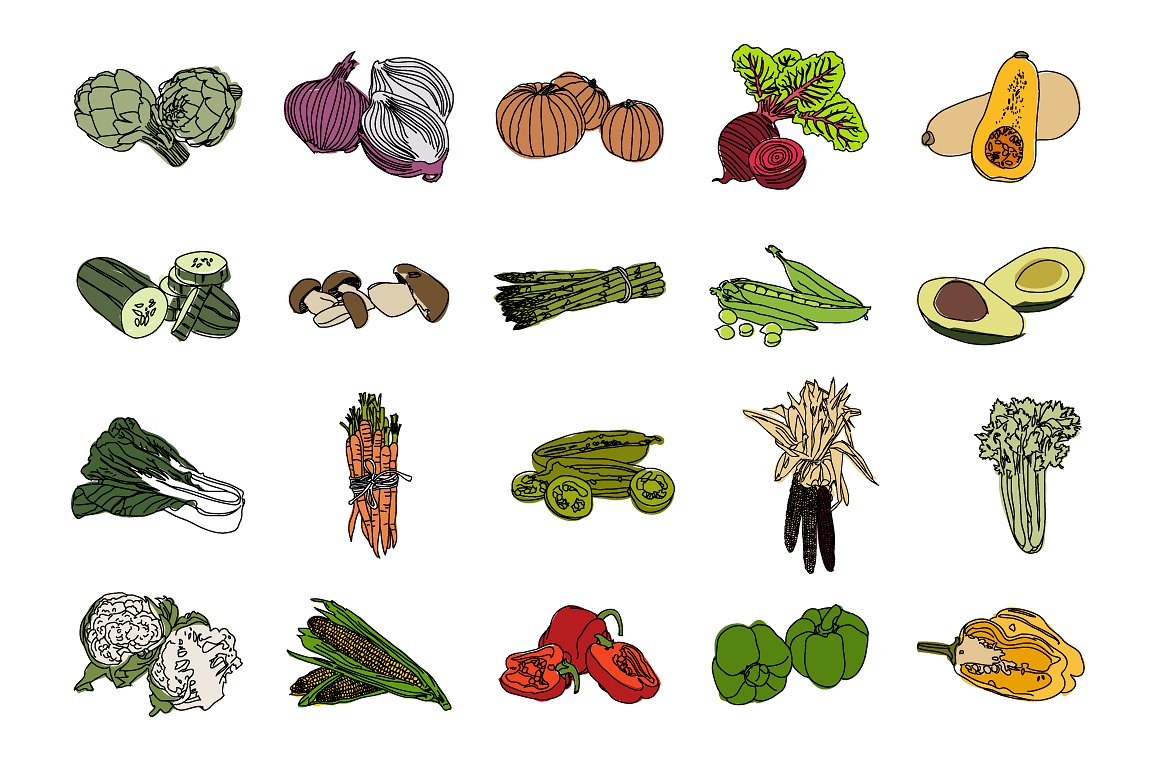 手绘矢量蔬菜插图素材Vector Vegetable Ill
