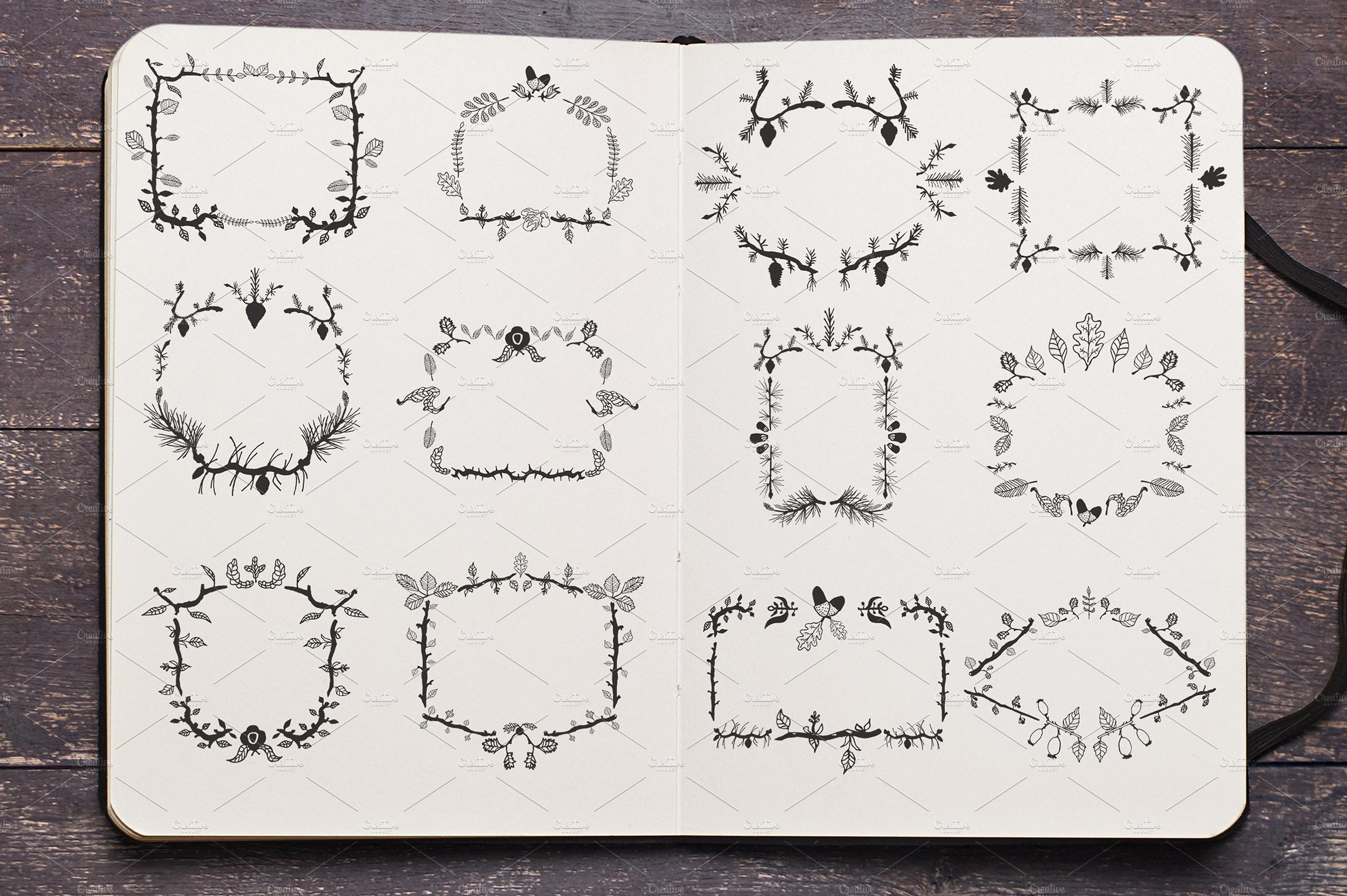 手绘花卉植物设计素材Hand-drawn frames an