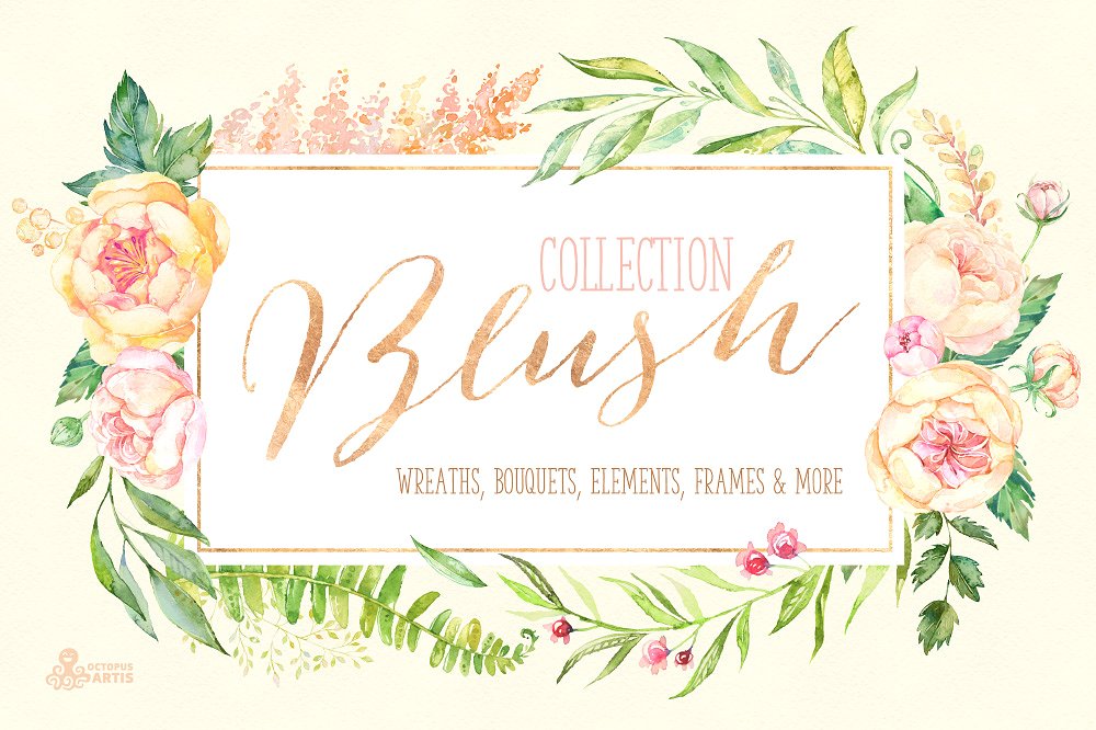 浪漫手绘花卉植物设计素材Blush. Floral Coll