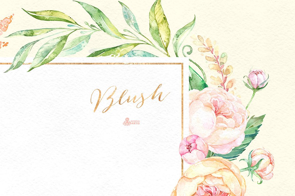 浪漫手绘花卉植物设计素材Blush. Floral Coll