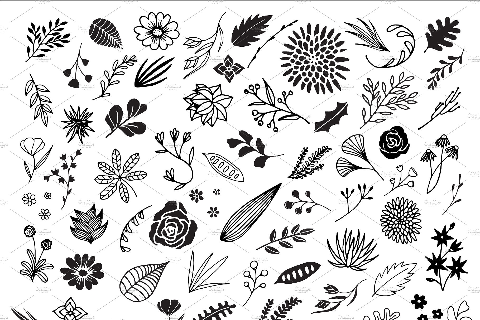 手绘花卉植物设计素材300 Hand Drawn Flora