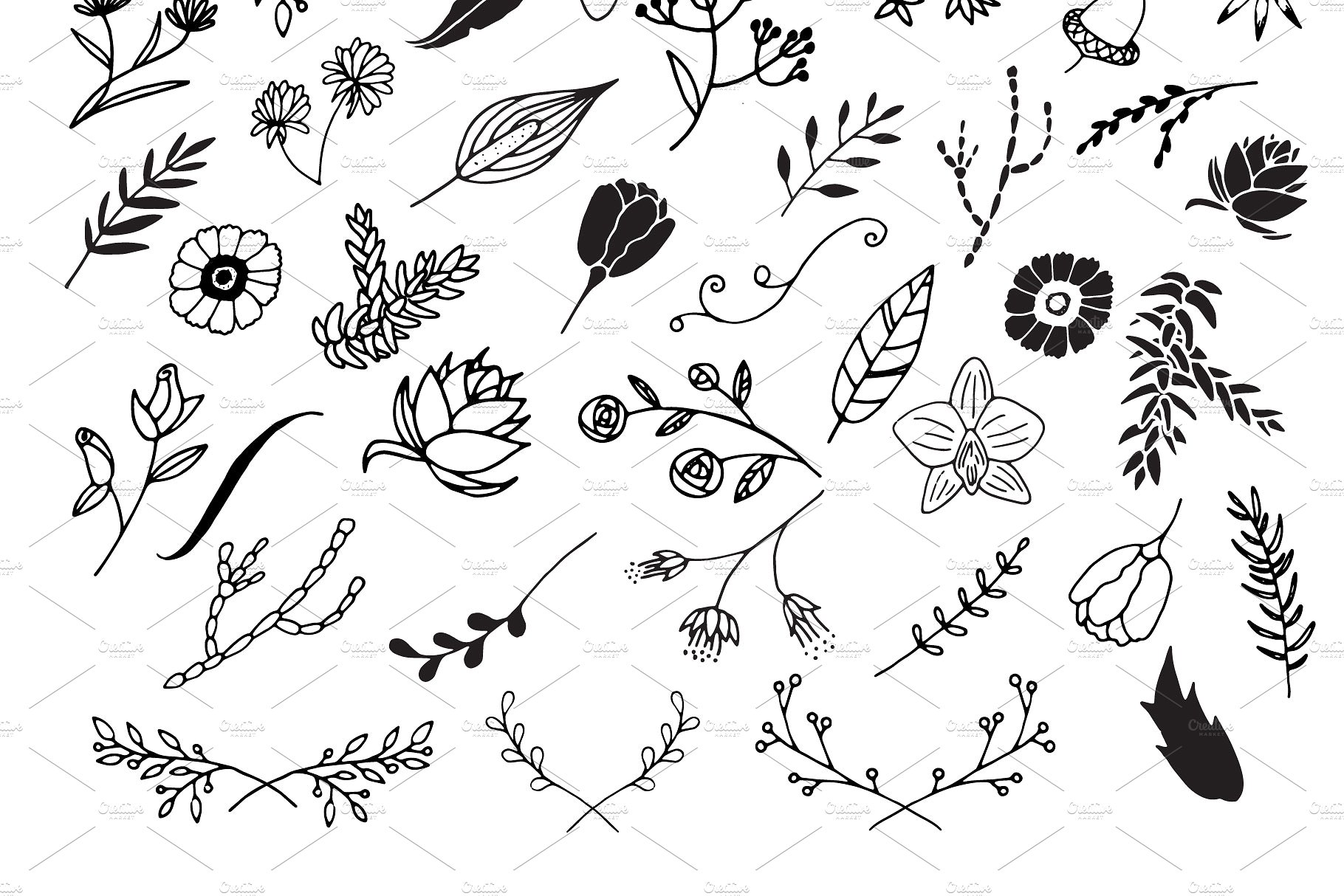 手绘花卉植物设计素材300 Hand Drawn Flora