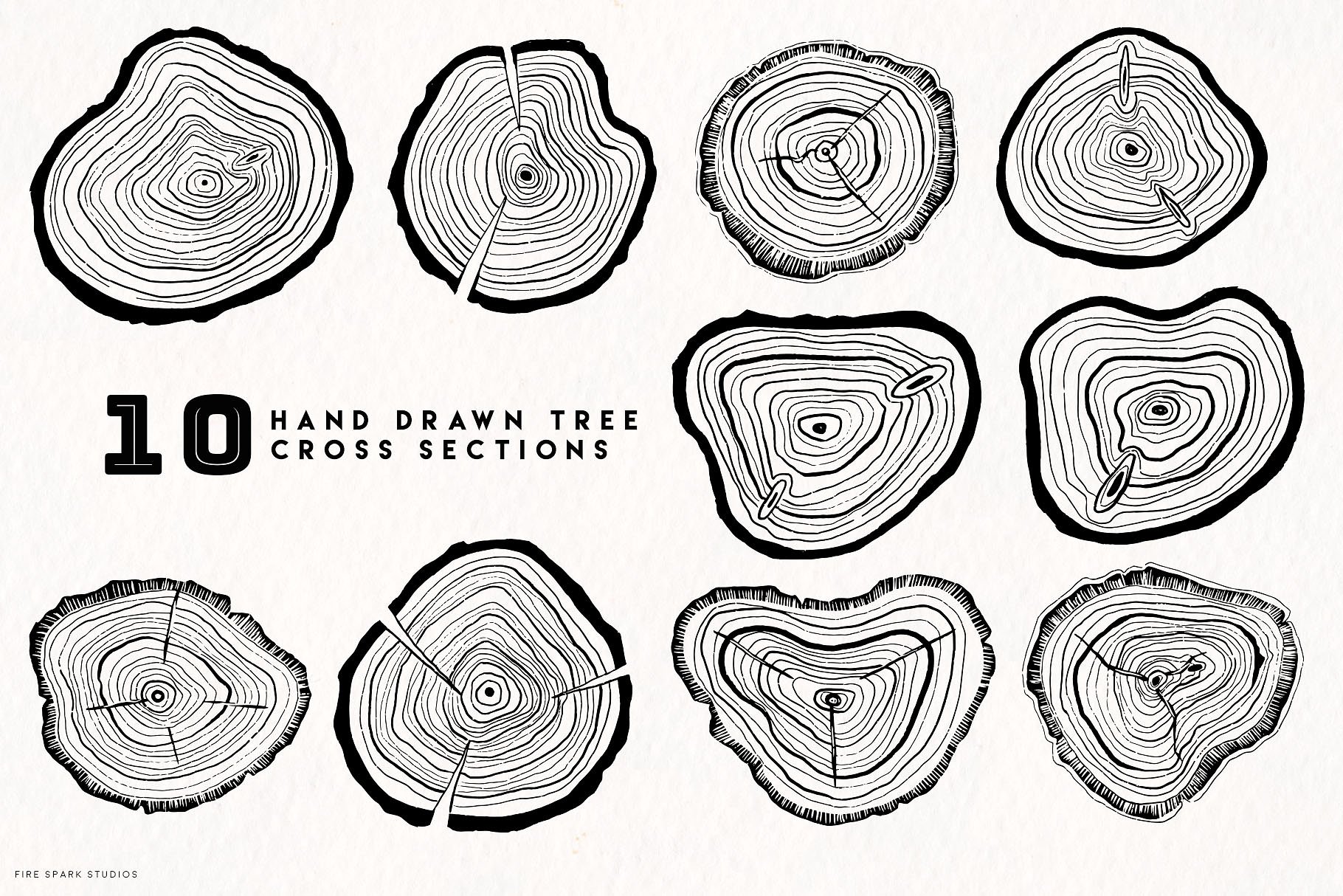 手绘矢量年轮图案设计素材Timber - Hand Draw
