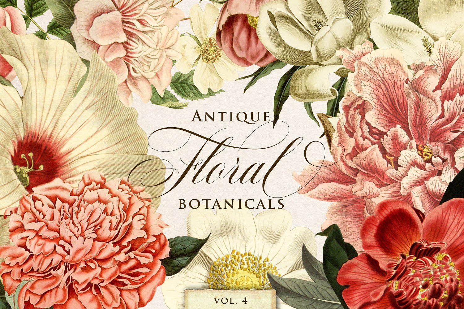 复古花卉植物设计素材Antique Floral Botan