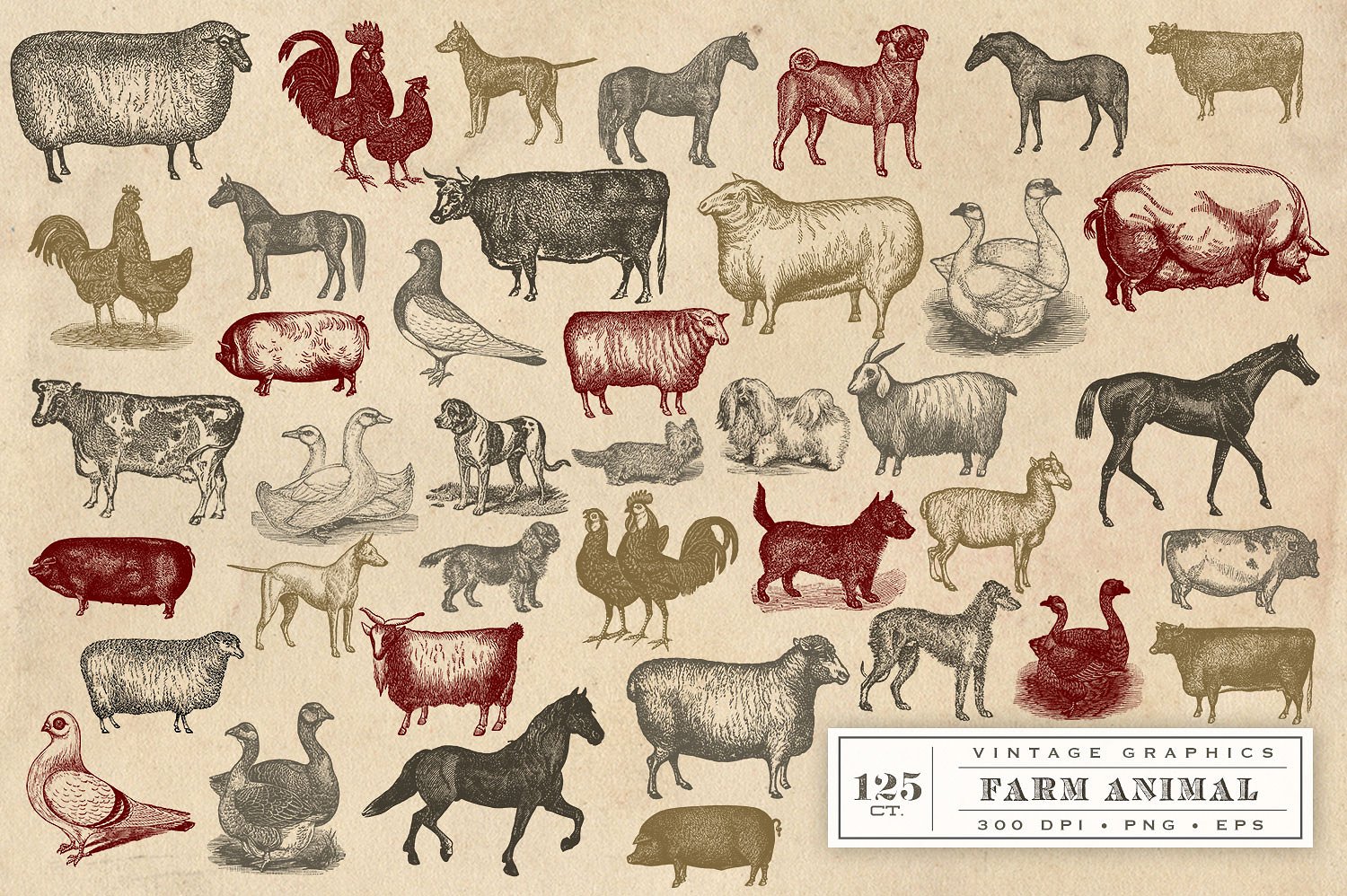 复古农场动物设计素材Vintage Farm Animal