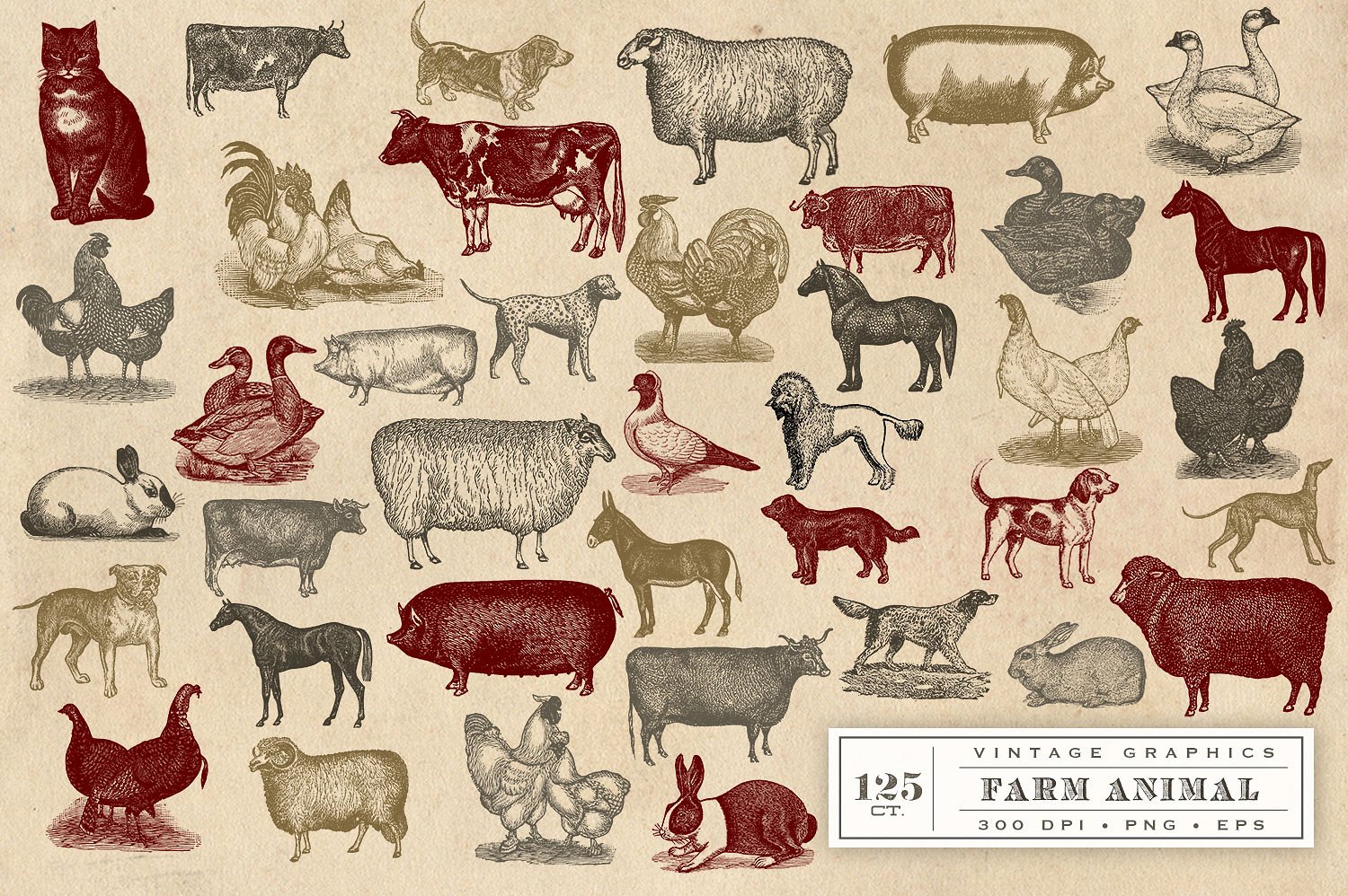 复古农场动物设计素材Vintage Farm Animal
