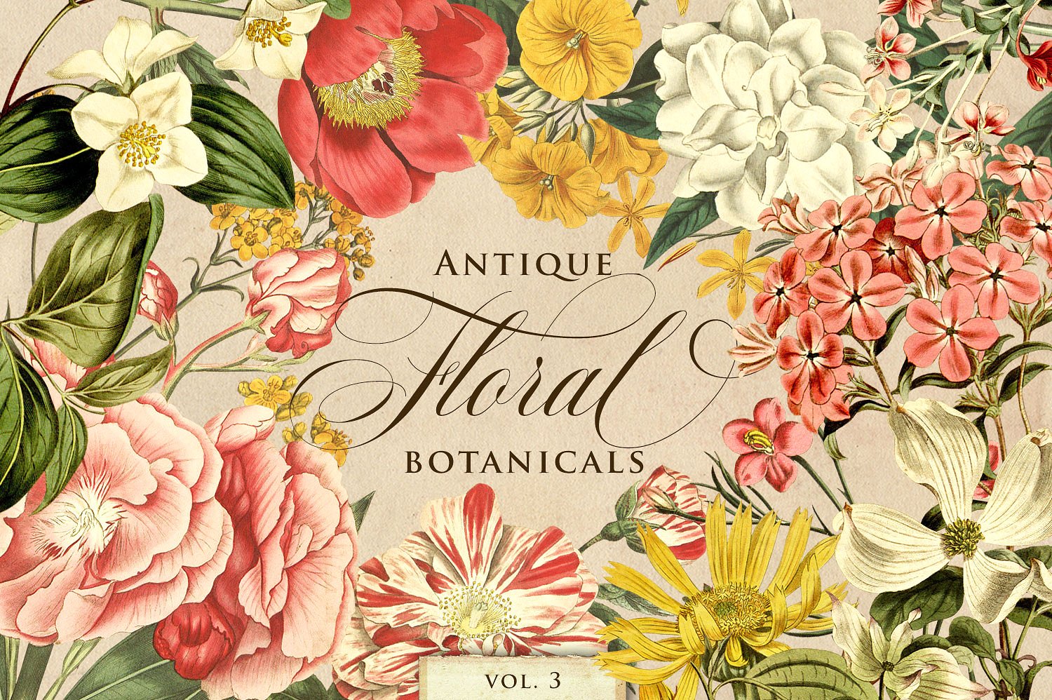 复古花卉植物设计素材Antique Floral Botan