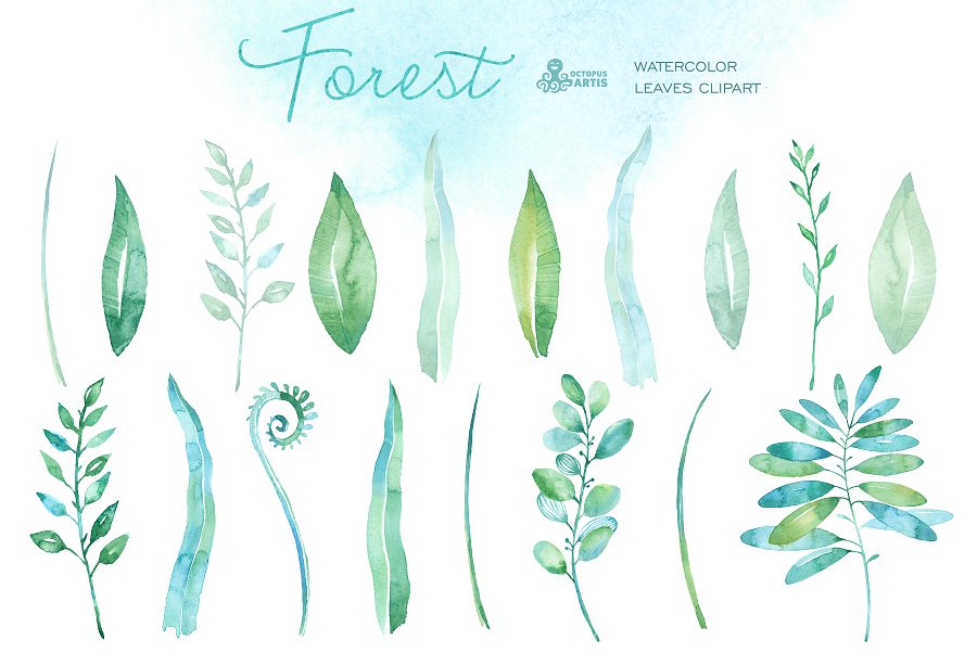 森林水彩叶子 Forest watercolor leave