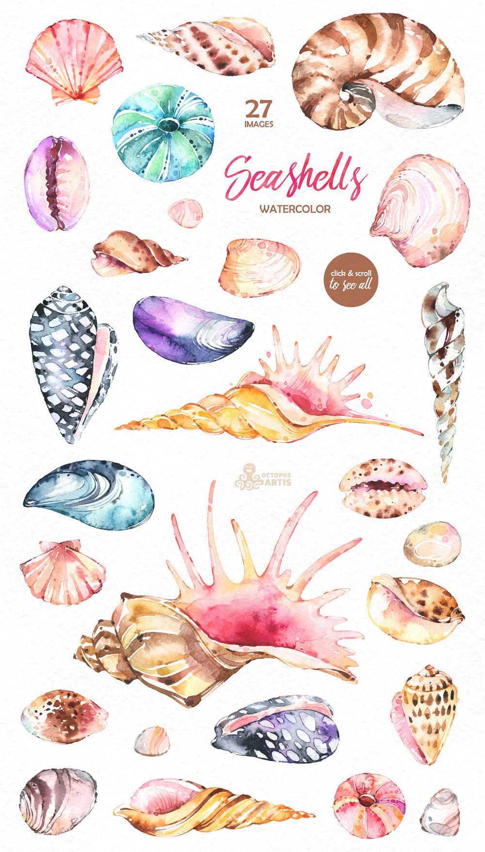 手绘水彩海螺设计素材Seashells. Watercolo