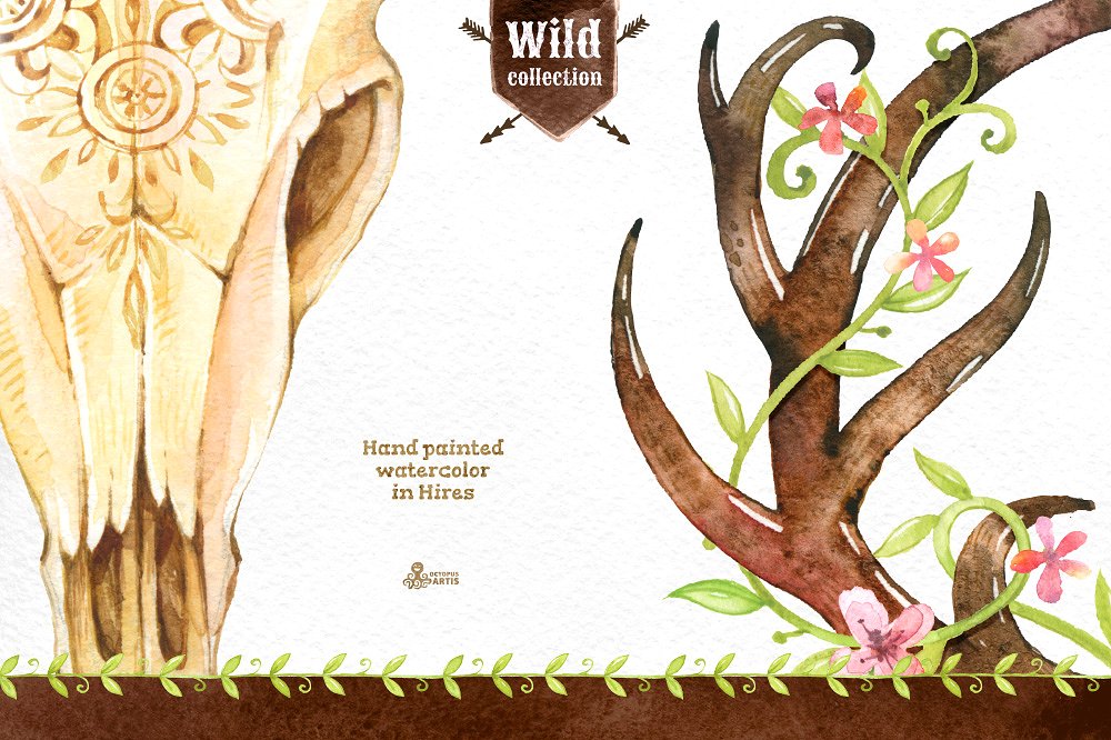 水彩手绘花卉植物设计素材Wild Collection #2