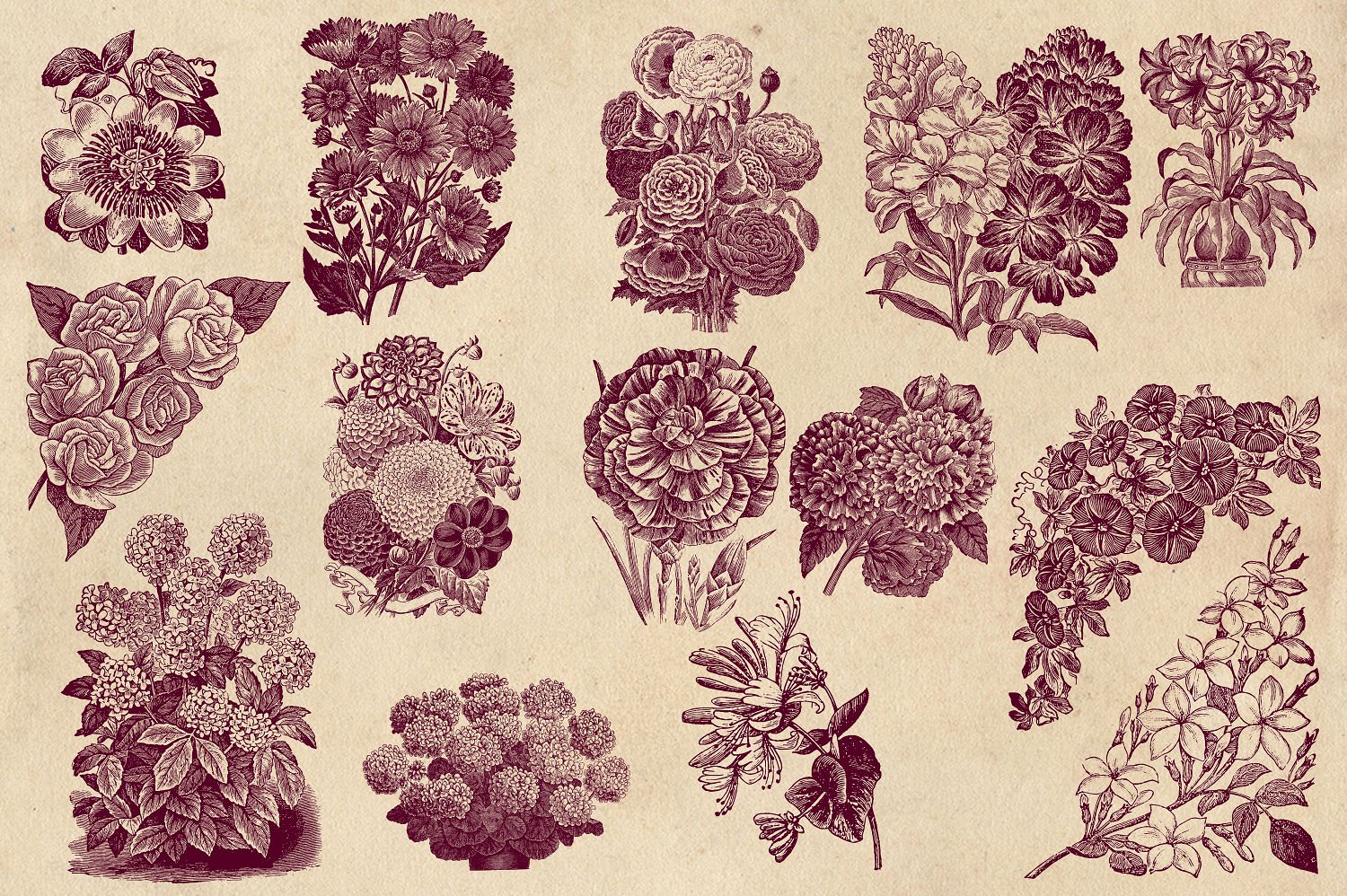 Vintage Flower Vector Graphics