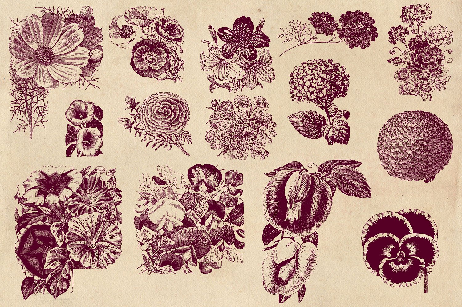 Vintage Flower Vector Graphics