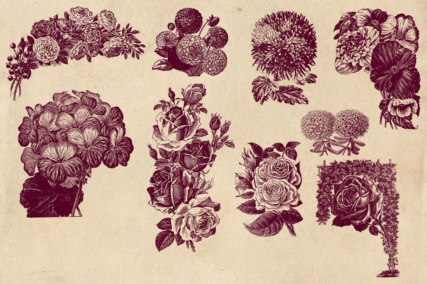 Vintage Flower Vector Graphics