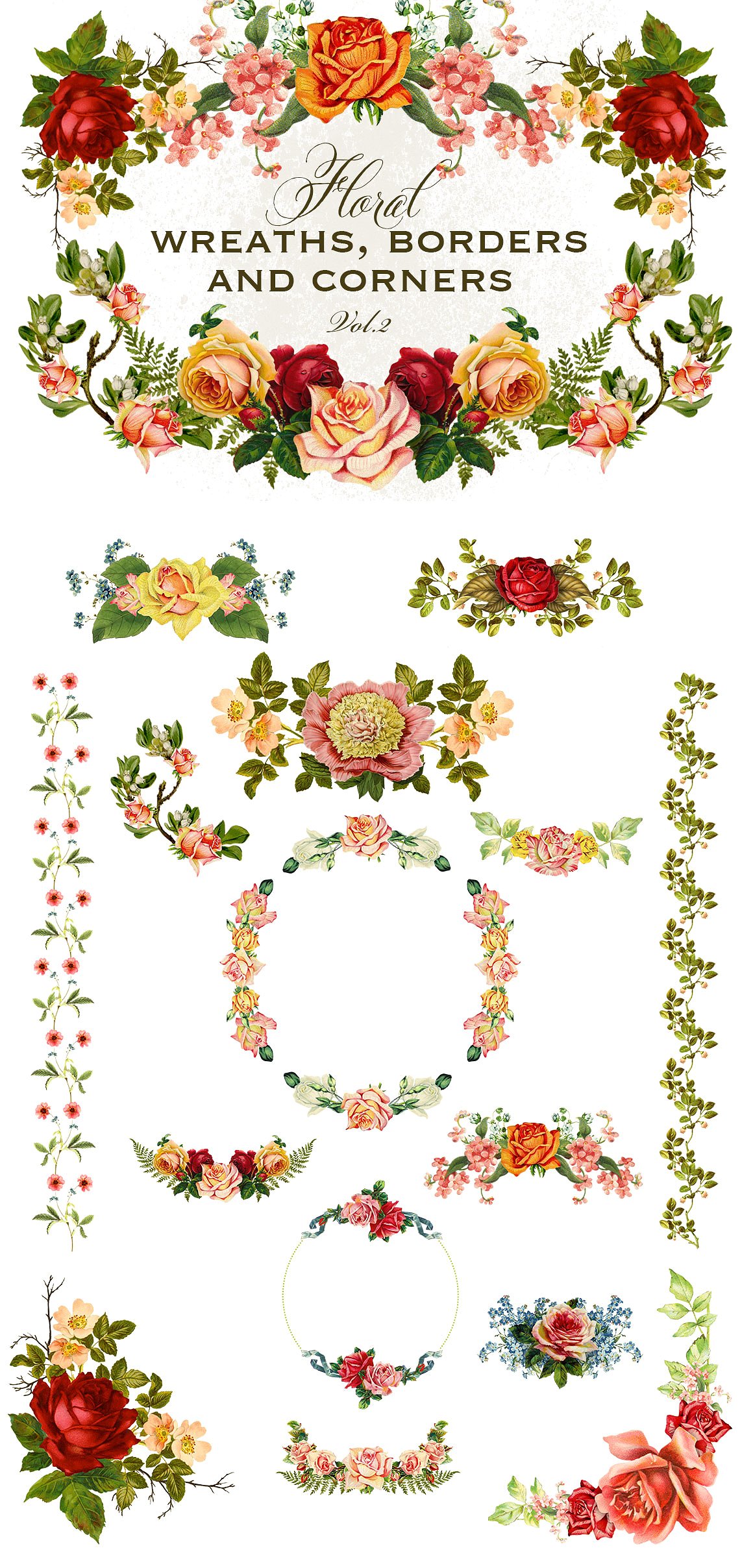 复古花卉设计素材Floral Wreaths Borders