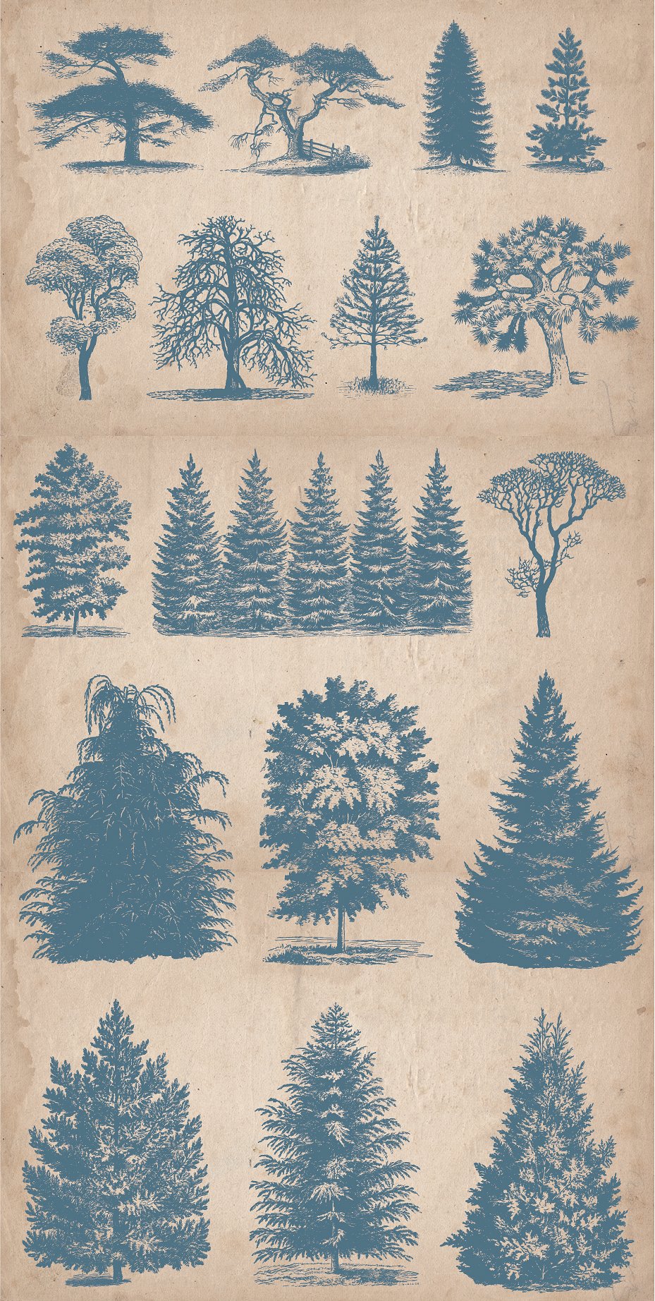 64 Vintage Hand Drawn Trees