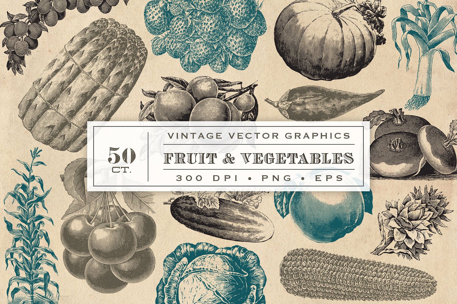 矢量复古蔬菜水果图形Vintage Fruit& V