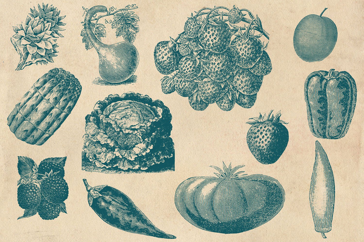 矢量复古蔬菜水果图形Vintage Fruit& V