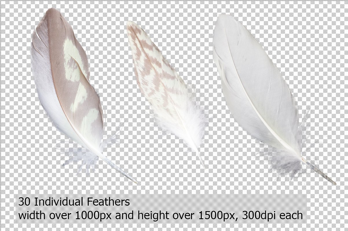 5K Feathers Overlays