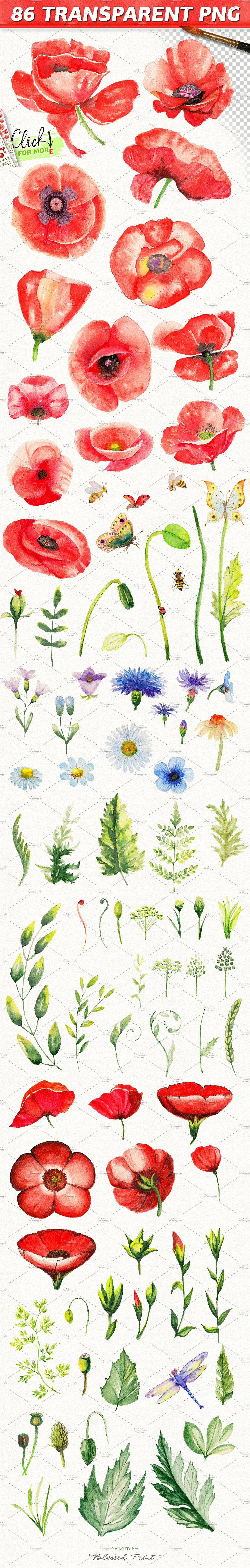 水彩手绘花卉设计素材Watercolor DIY Poppy