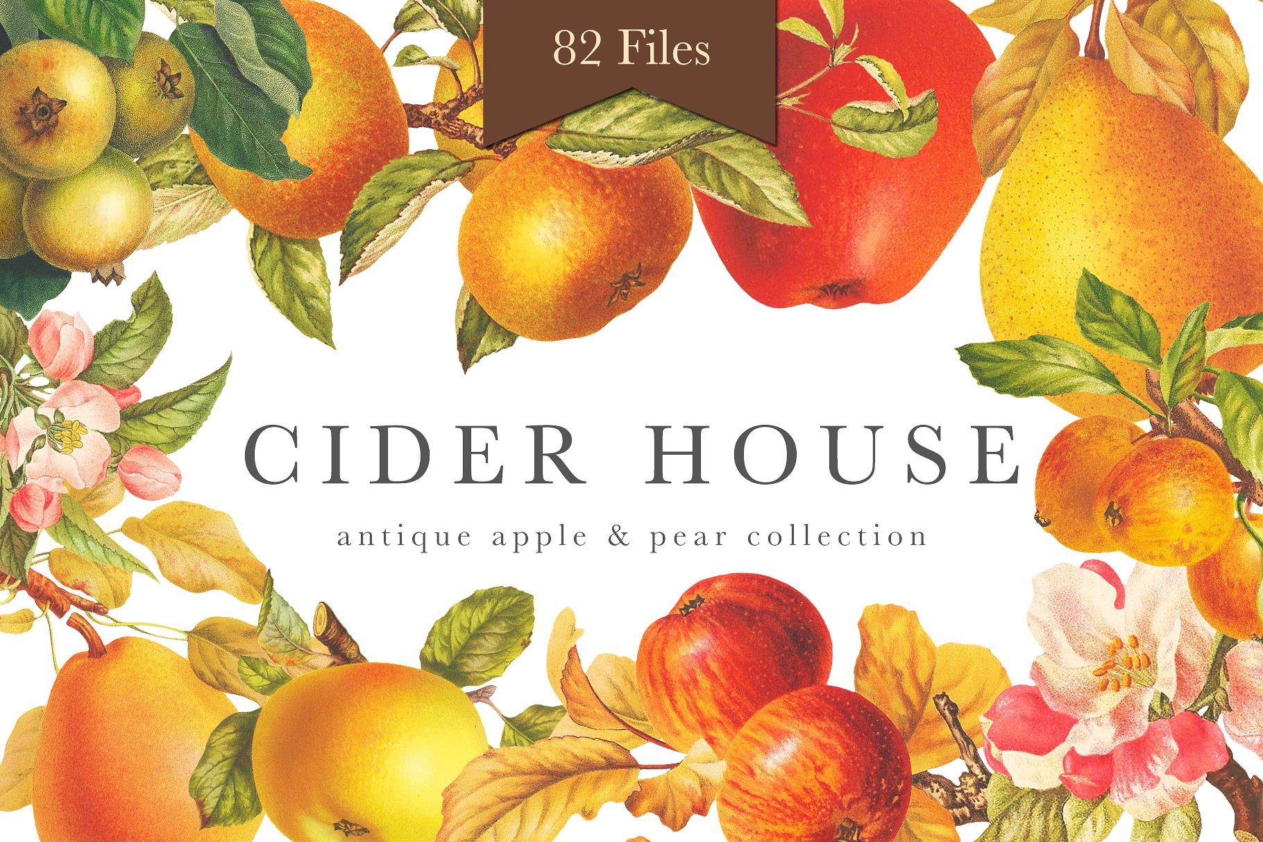 苹果酒屋苹果和梨图案Cider House Apple -a