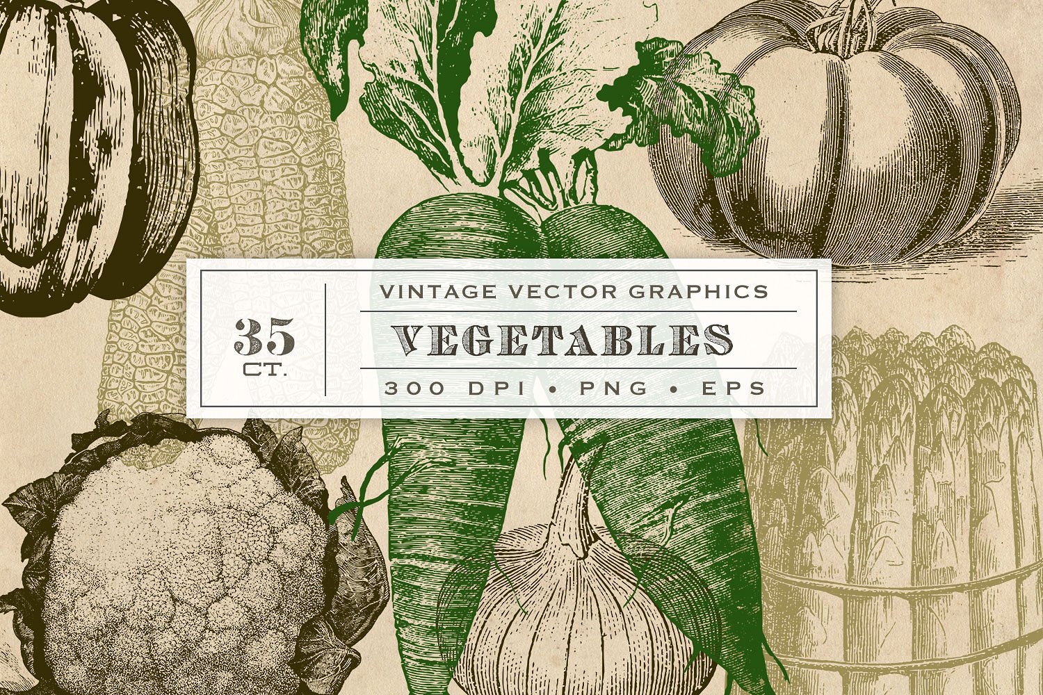 古典蔬菜花园图案Vintage Vegetable Gard