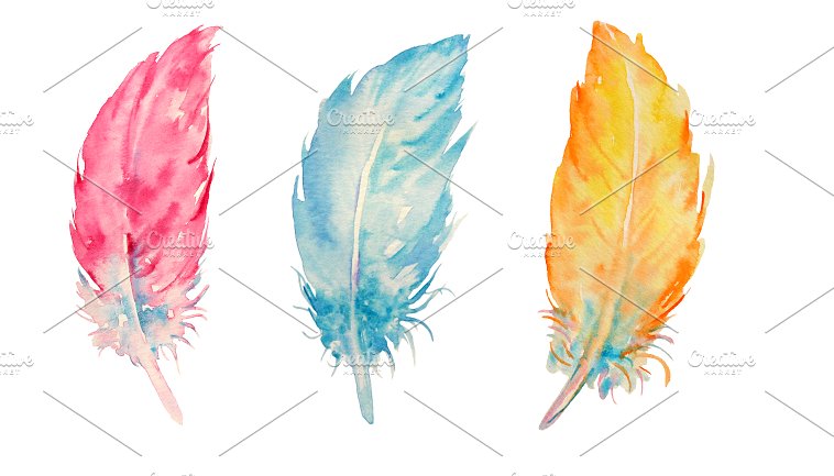 手绘水彩羽毛设计素材Watercolor Feathers