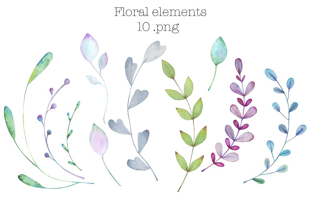 水彩花卉元素Watercolor floral elemen