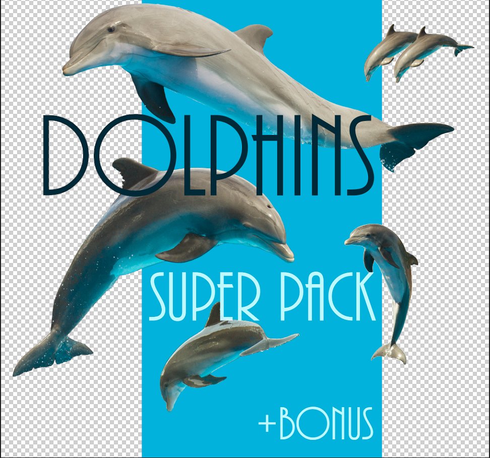 孤立的海豚Set of isolated dolphins