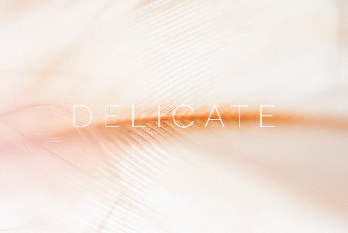 梦幻羽毛设计素材Delicate