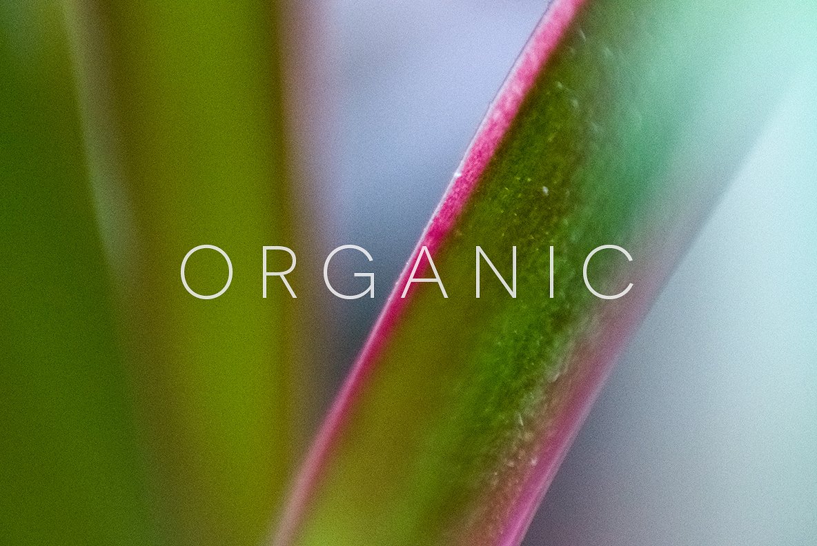 颗粒状的植物Organic #1957453