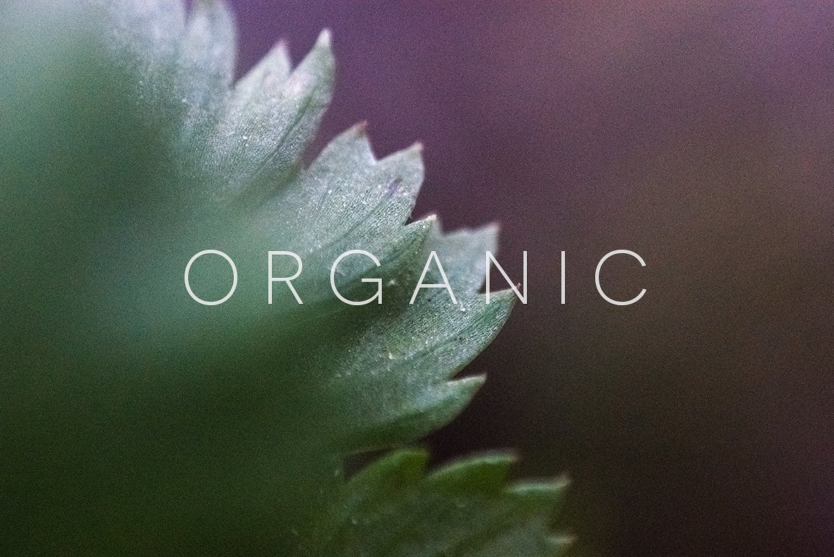 颗粒状的植物Organic #1957453
