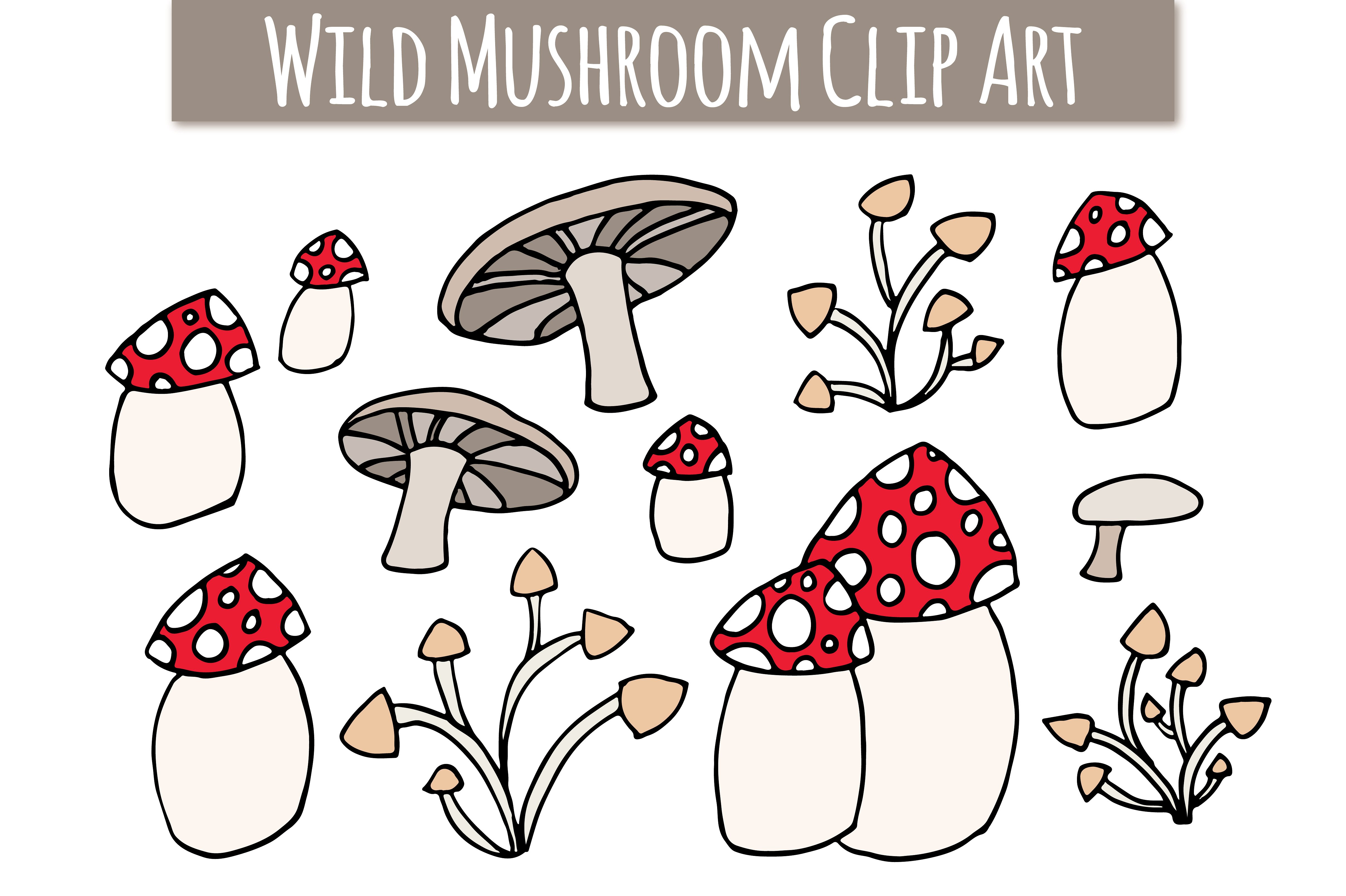 可爱的蘑菇主题Wild Mushroom Clip Art