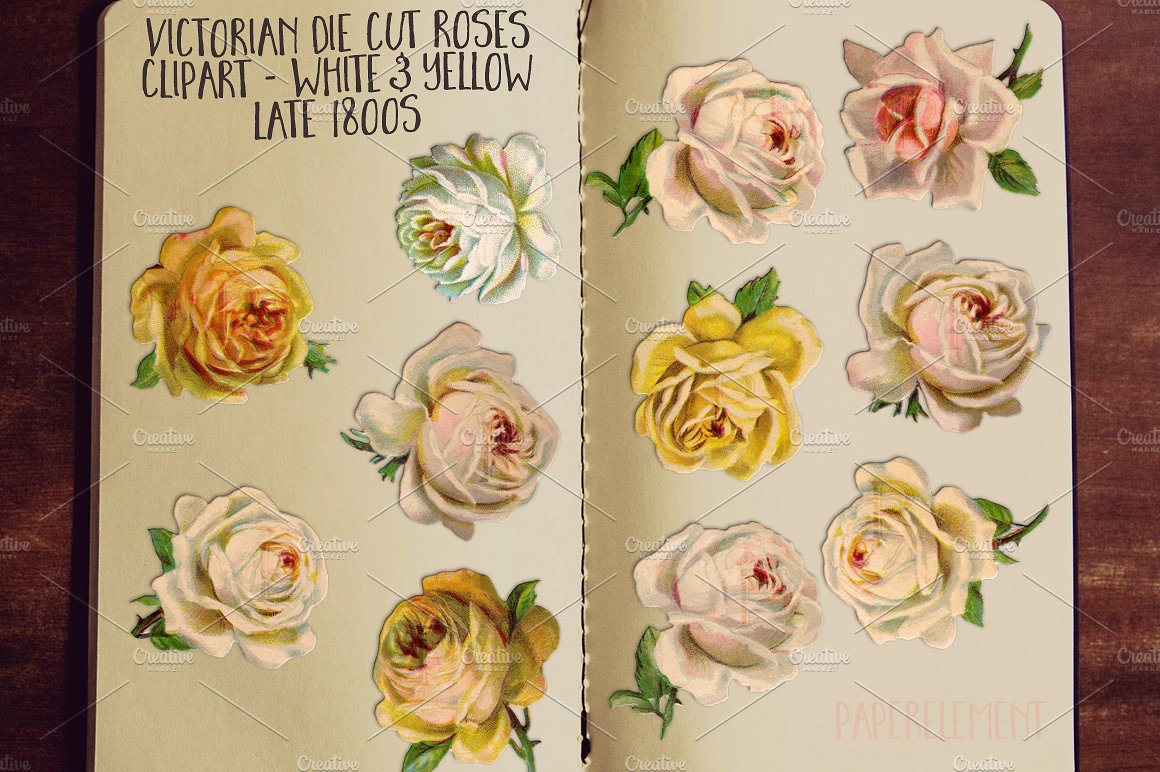 玫瑰花卉贴纸 White Rose Clip Art Flo