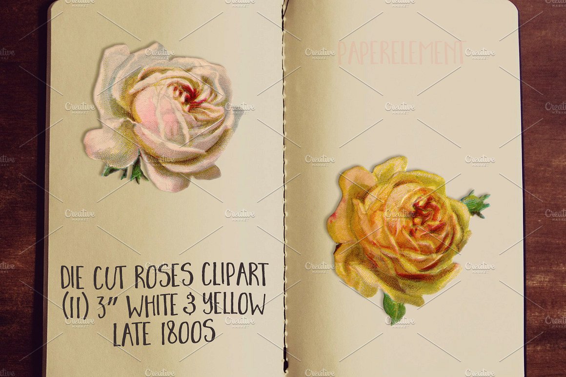 玫瑰花卉贴纸 White Rose Clip Art Flo